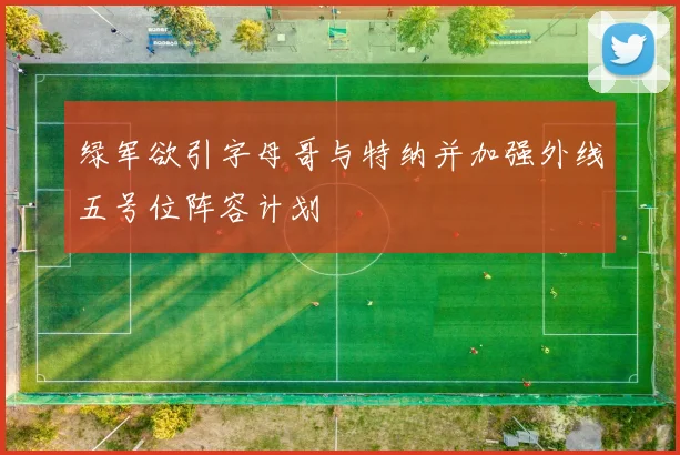 绿军欲引字母哥与特纳并加强外线五号位阵容计划
