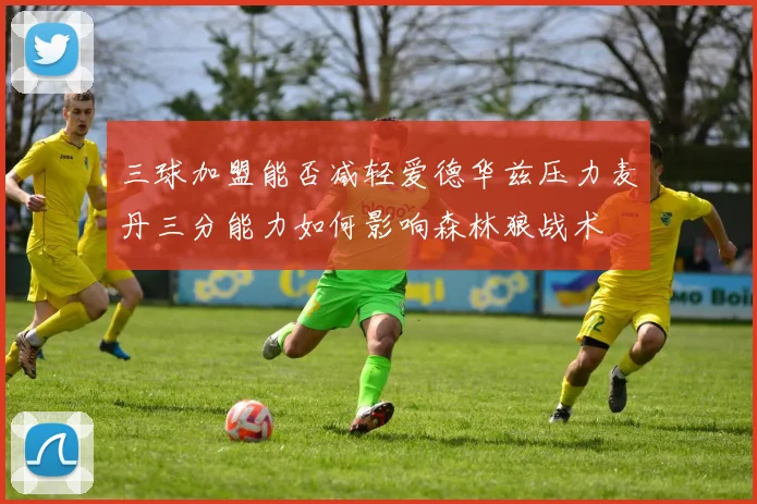 三球加盟能否减轻爱德华兹压力麦丹三分能力如何影响森林狼战术