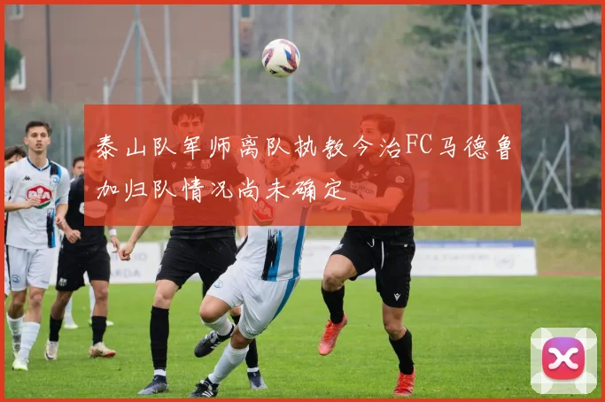 泰山队军师离队执教今治FC马德鲁加归队情况尚未确定