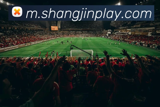 赏金国际APP 封面图